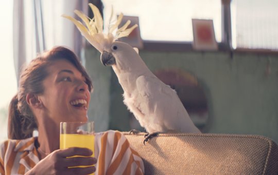 TVC spot Mango ananas